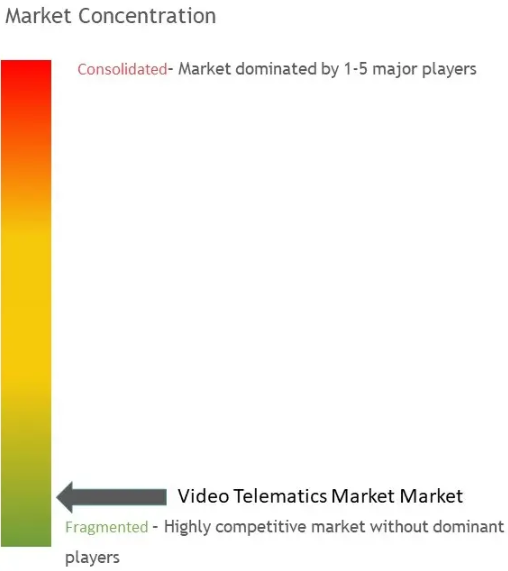 Video Telematics Market Concentration
